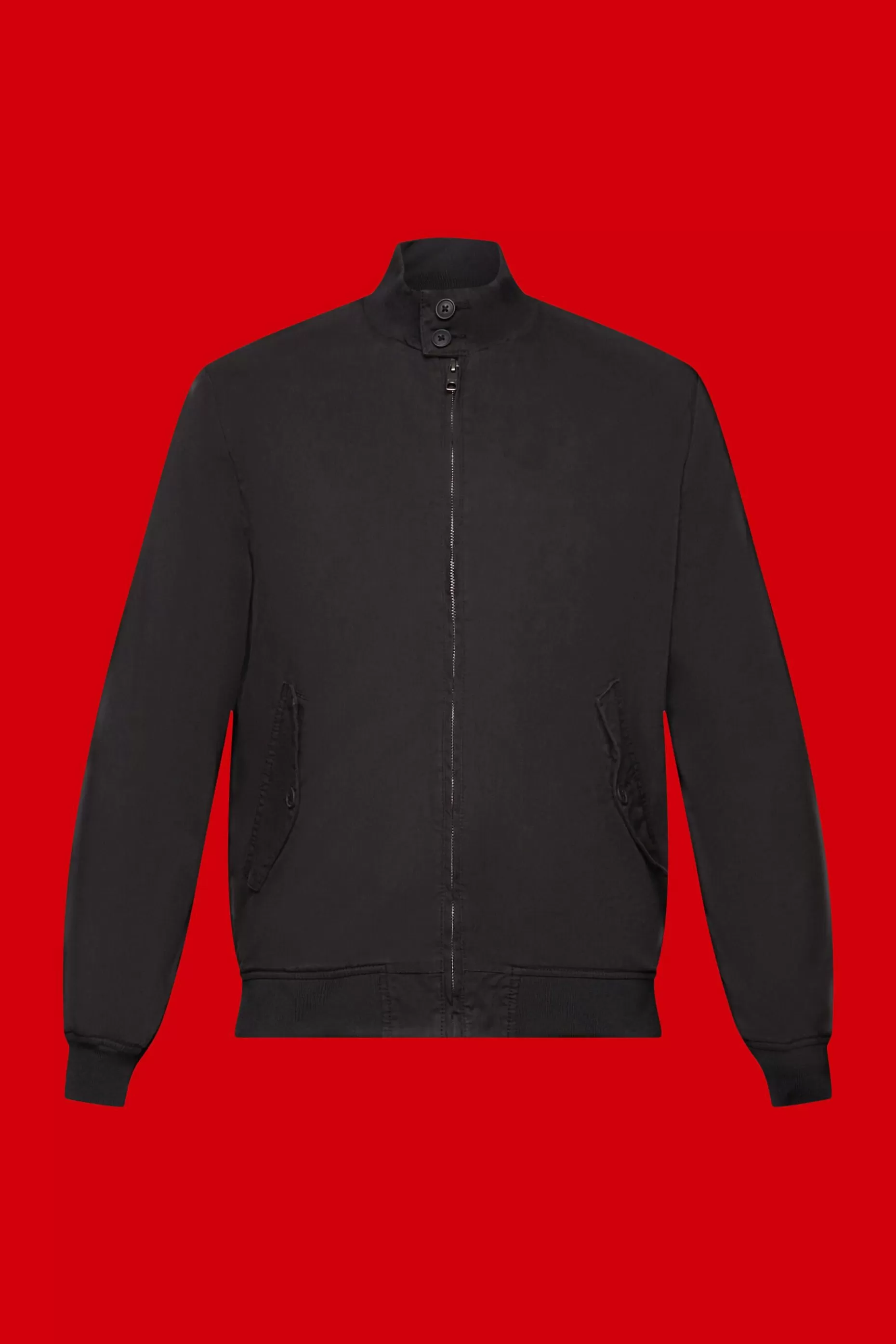 ESPRIT Bomber jacket with stand-up collar at our Online Shop *Men Jackets + Coats