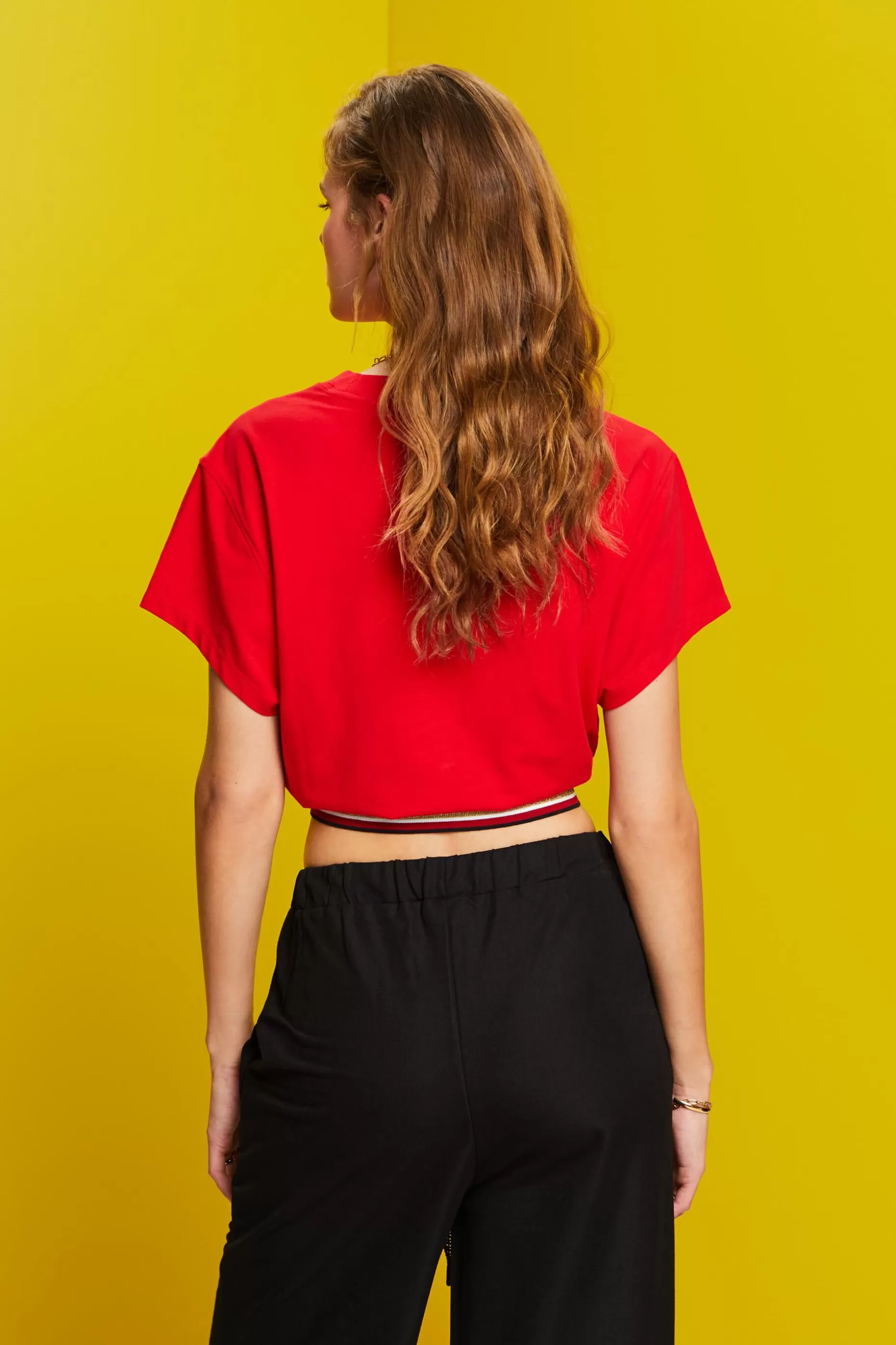 ESPRIT Cropped t-shirt with glitter band at our Online Shop *Women T-Shirts + Tops