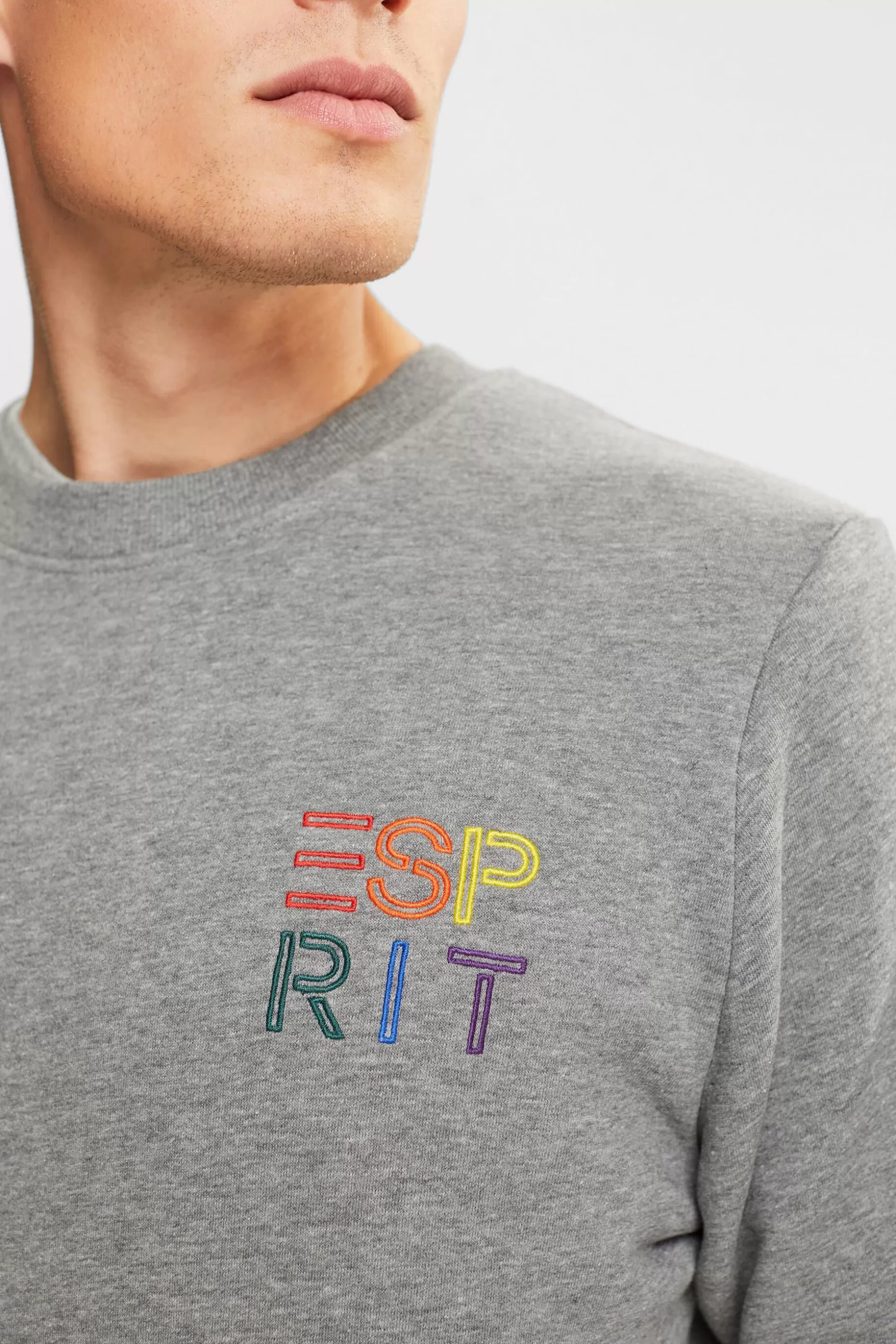 ESPRIT Sweatshirt with a colourful embroidered logo at our Online Shop *Men Sweatshirts + Hoodies