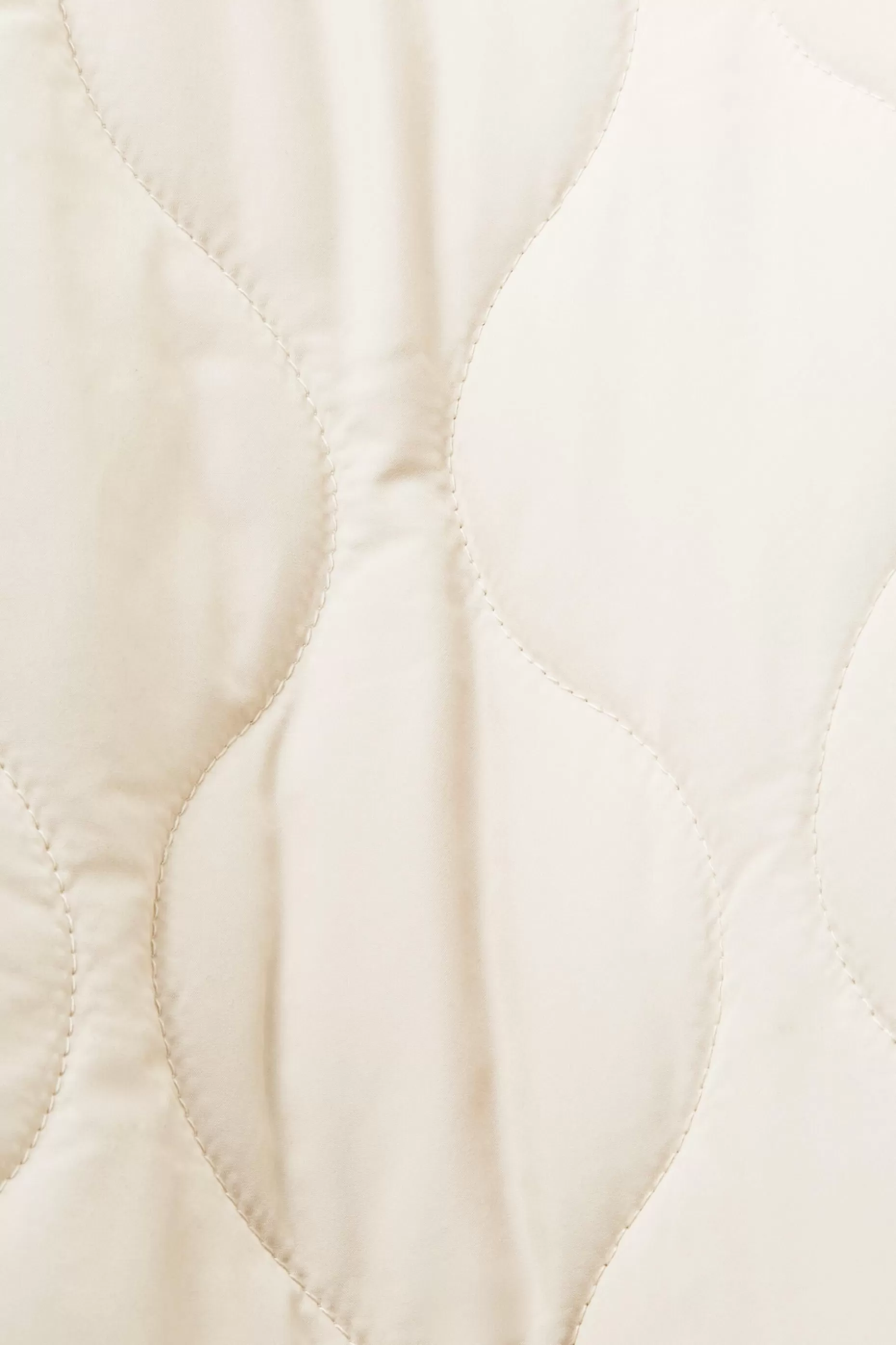 ESPRIT Ultra lightweight quilted bomber jacket at our Online Shop *Women Tops
